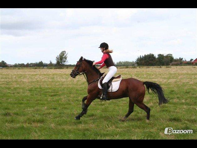 Dansk Varmblod Liberty - Liberty jagt med tidl. ejer <3 billede 14