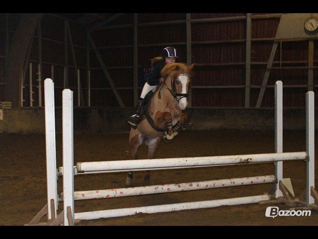 New Forest Super Mulle<3<3<3 - Eow! Stævne<3
Taget af Anja K.H billede 18