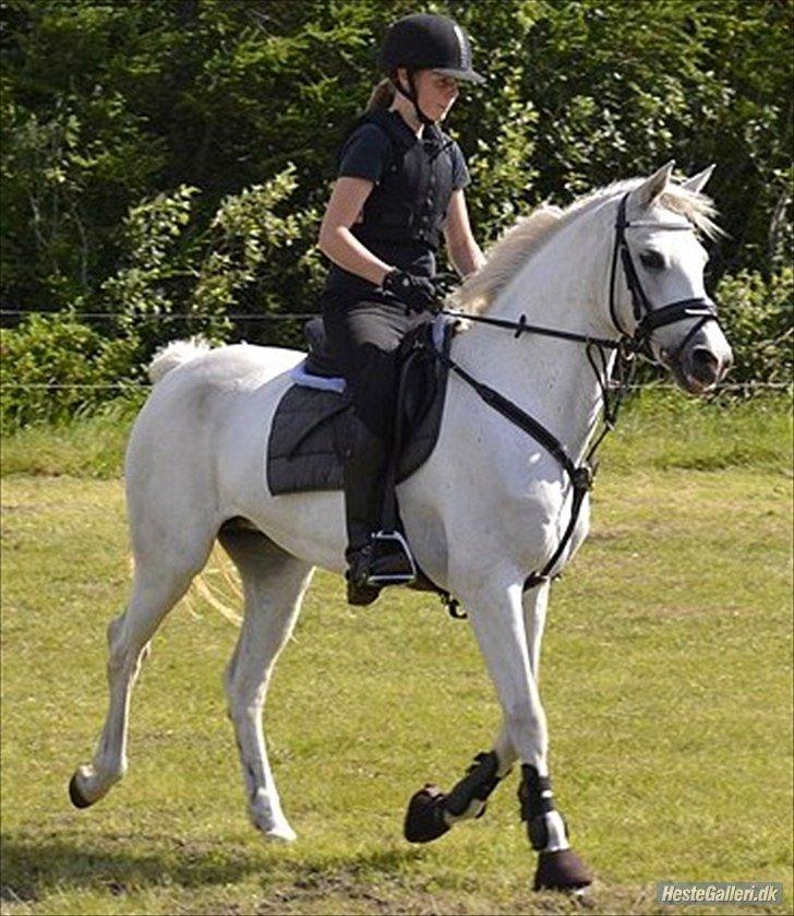 Connemara Vimmelgårdens Coco <3 - Springkursus v. Andreas Künneman 2011 billede 19