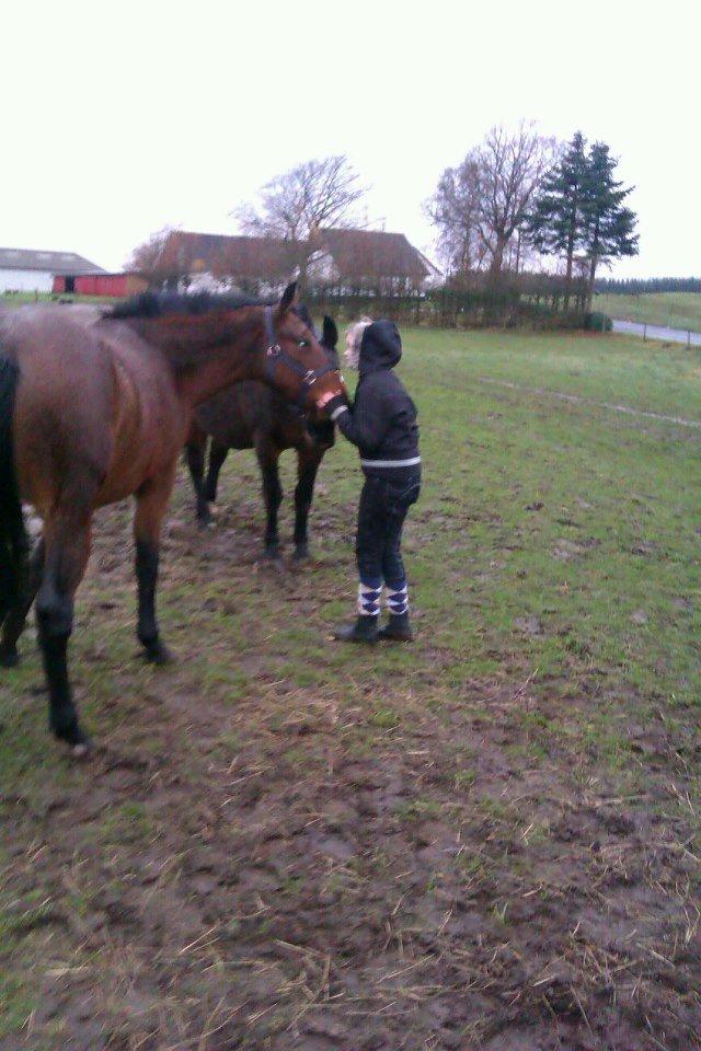 Oldenborg Valinka - Valinka : Du er bare den bedste, kan ikke beskrive dig med ord. billede 1