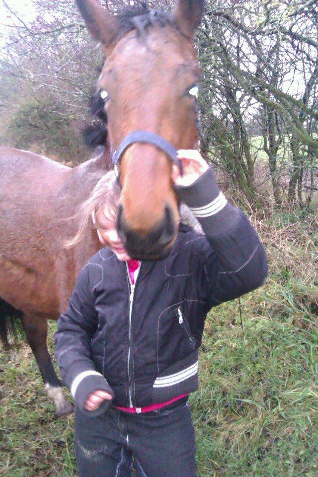 Oldenborg Valinka - Valinka : Isabella, hvor er du??.

Isabella: Under dit hoved, skønne tøs. billede 3