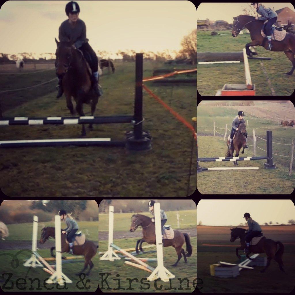 Welsh Pony (sec B) Skovbjergs Zenea - Spring på hende den bedste :') billede 1