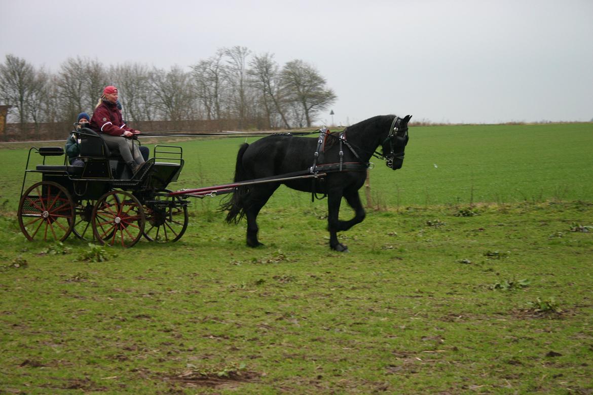 Frieser #  Jannie Van`t Grupje  # - 03-12-2005 
Jannie er lige kommet hjem fra tilkørsel :-) billede 5