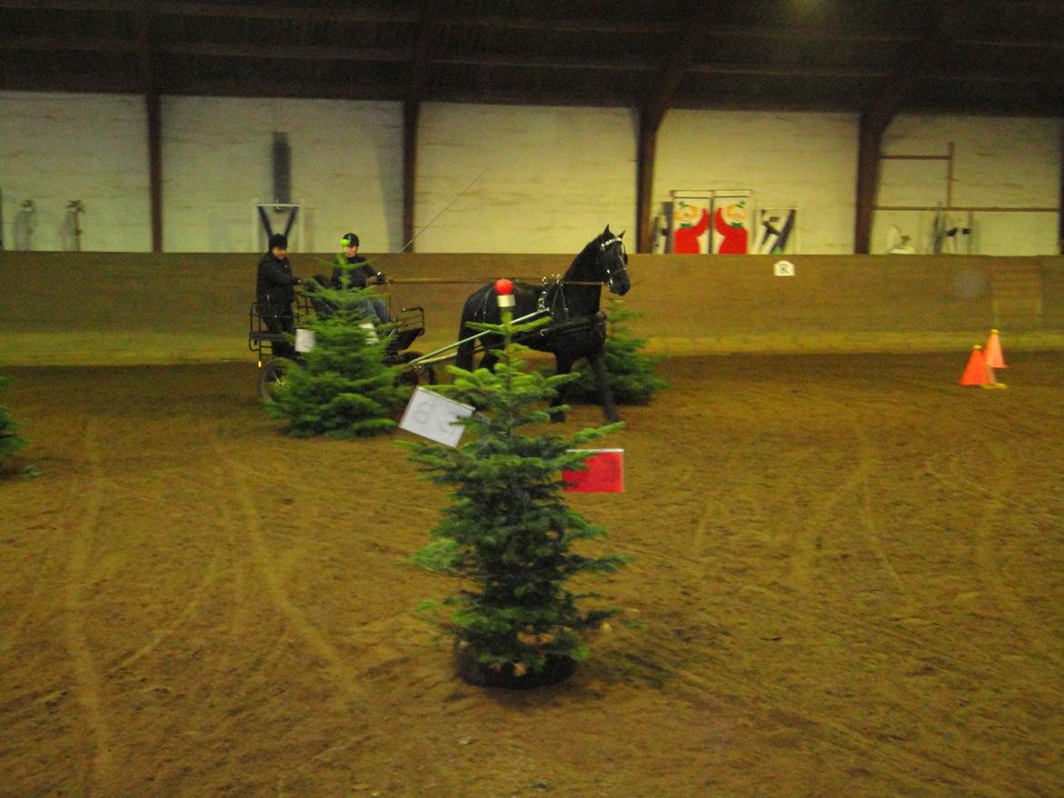 Frieser #  Jannie Van`t Grupje  # - 28-12-2012 
Julestævne  billede 13