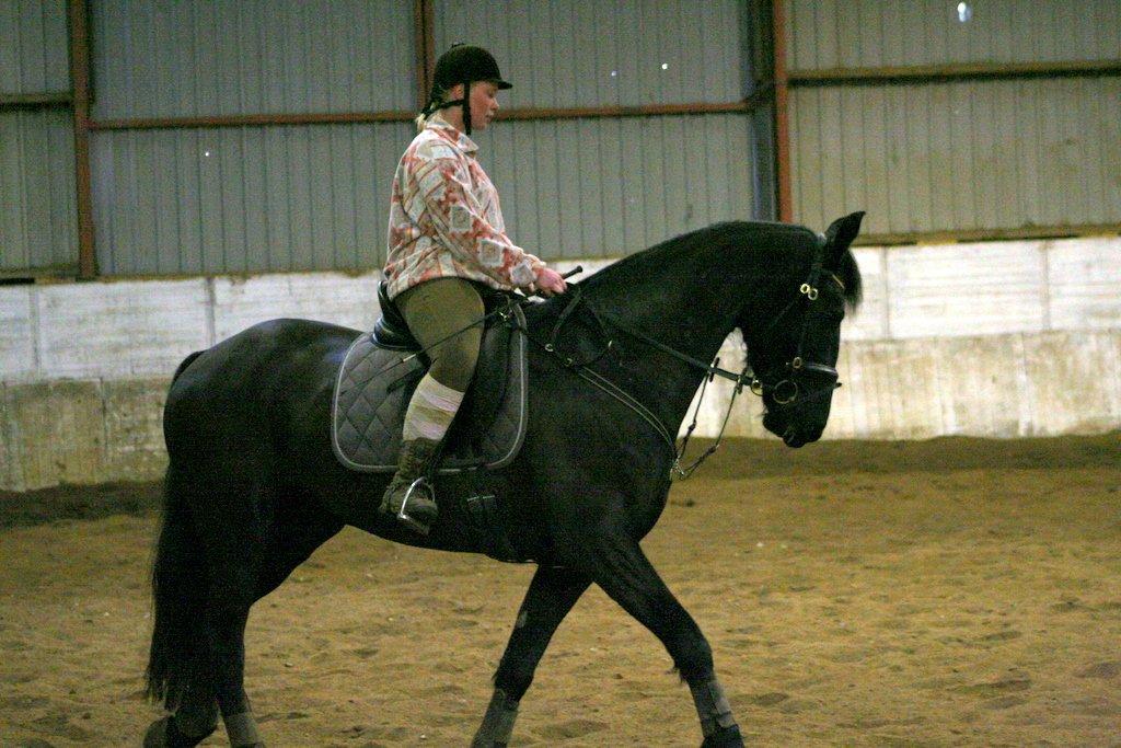 Frieser #  Jannie Van`t Grupje  # - 19-12-2006 
Fra den gang jeg ejede Jannie. billede 11