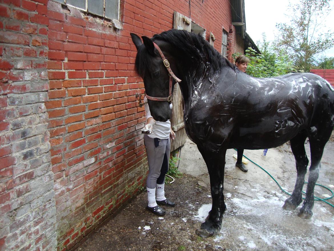 Frieser #  Jannie Van`t Grupje  # - 13-08-2011 
JA den kan faktisk godt blive helt sort.............  
men vi skal også i byen i morgen :-)  billede 12