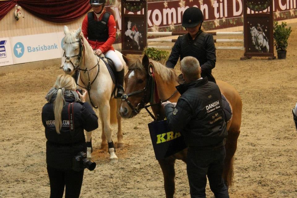 Welsh Pony af Cob-type (sec C) Bakkegaardens Aladdin - Allan. - Danish Christmas show - warm up 2012 - placeret som nummer 4 :-)))) billede 3