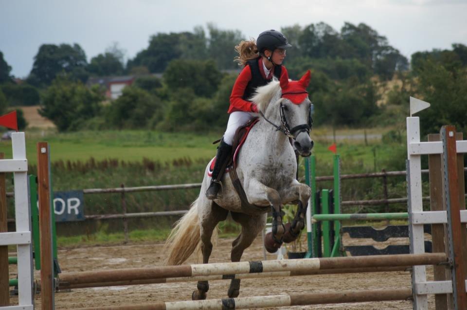 Connemara Dalestown Suzie Q - Første MB billede 19