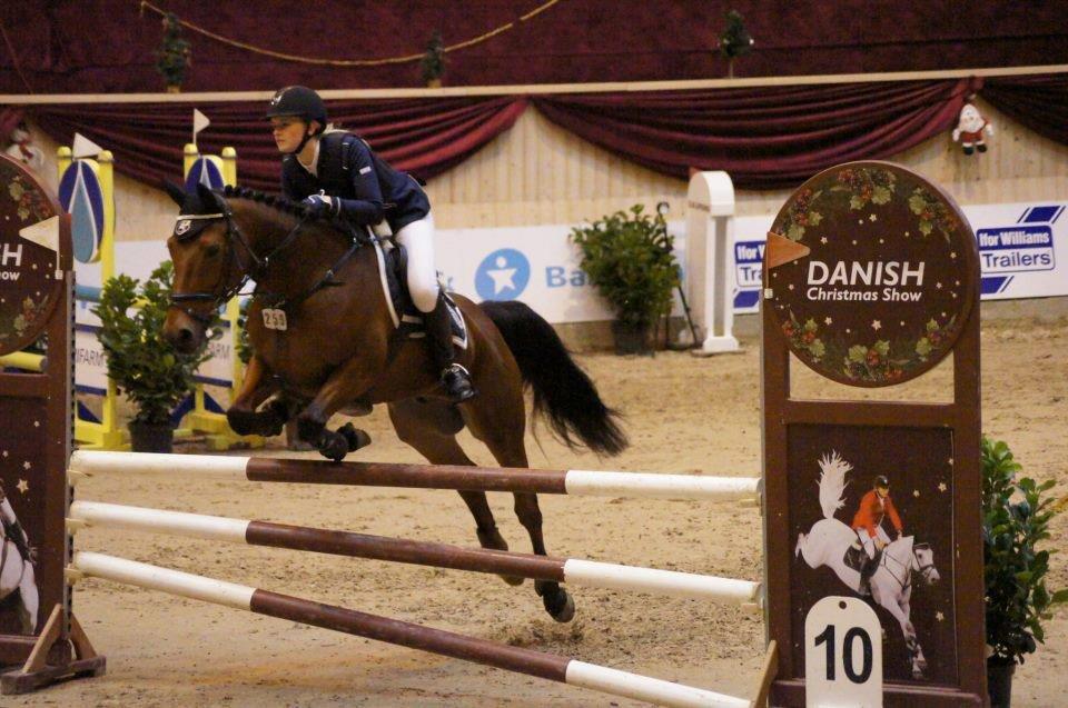 Anden særlig race Michelangelo - Danish Christmas Show Warm Up i Jylland LA billede 17