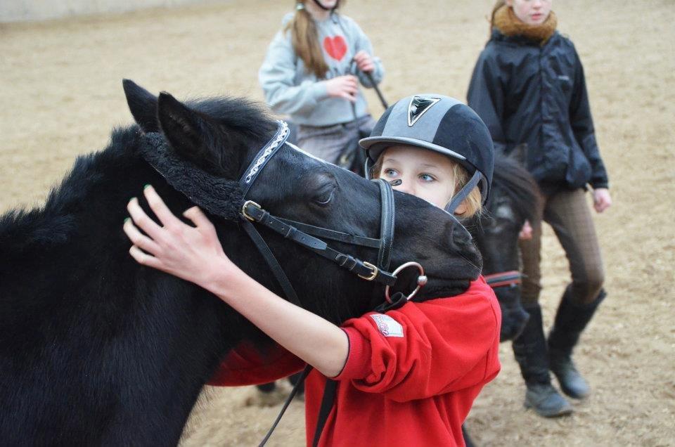 Welsh Pony af Cob-type (sec C) Rytterbjergets Neria - Verdens sødeste <3 billede 2