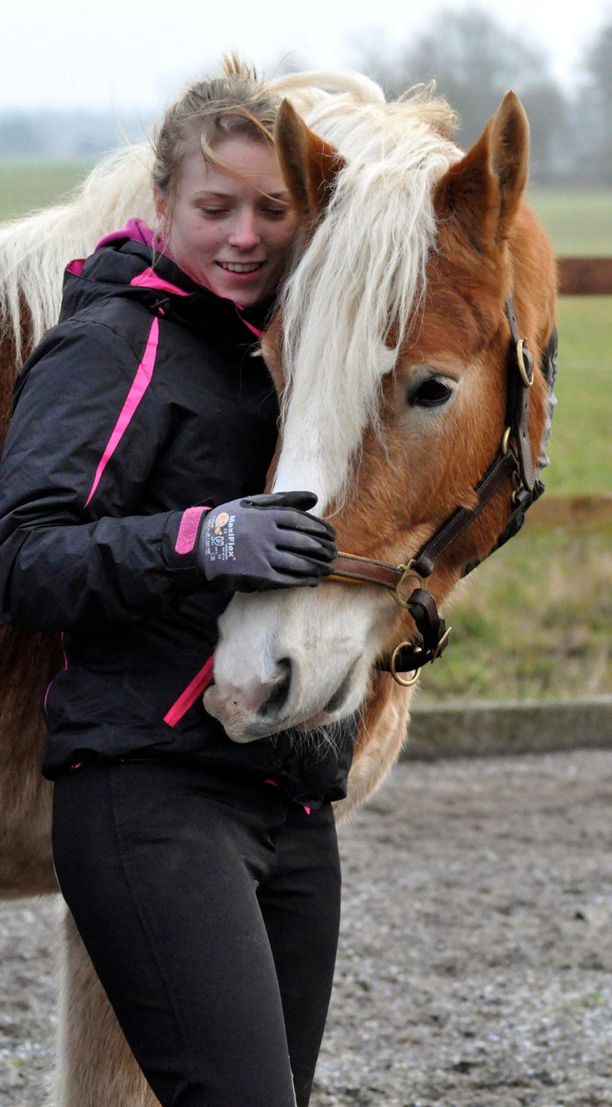 Haflinger LuLu Lakisha - Et godt venskab er ved at blive bygget :-)  billede 17