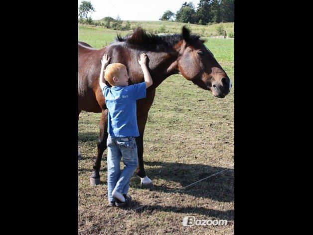 Anden særlig race Solbakkens Lukas - min lille bror og lukas nede på marken mens mig min bror og en ven rider i solskin billede 16