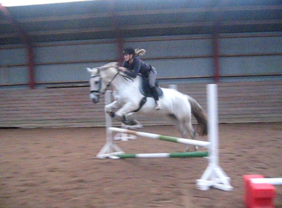 Anden særlig race Marquia - 17. november 2012, første gang jeg sprang på Marquia :) Foto: Britt Olsen billede 14