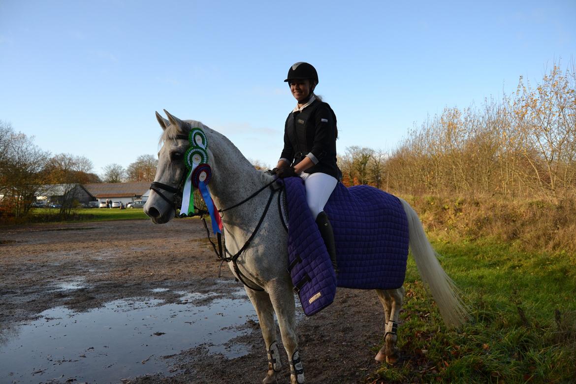 Hollandsk Sportspony Guido - 3. plads - LB*
3. plads - LB**
Roset - U-LB* billede 5