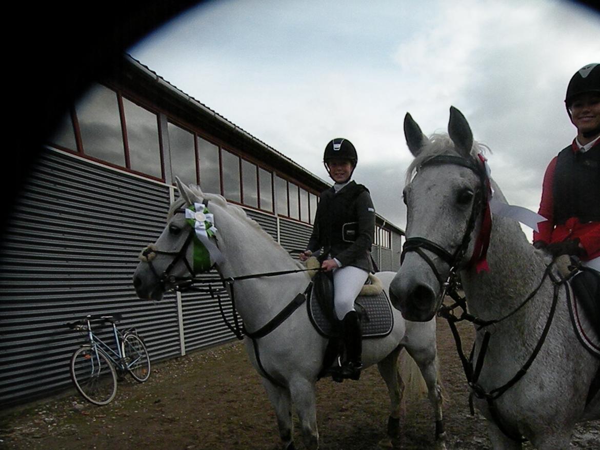 Hollandsk Sportspony Guido - Frederikke&Frodo - 3. plads
Sofie&Guido - 1. plads billede 9