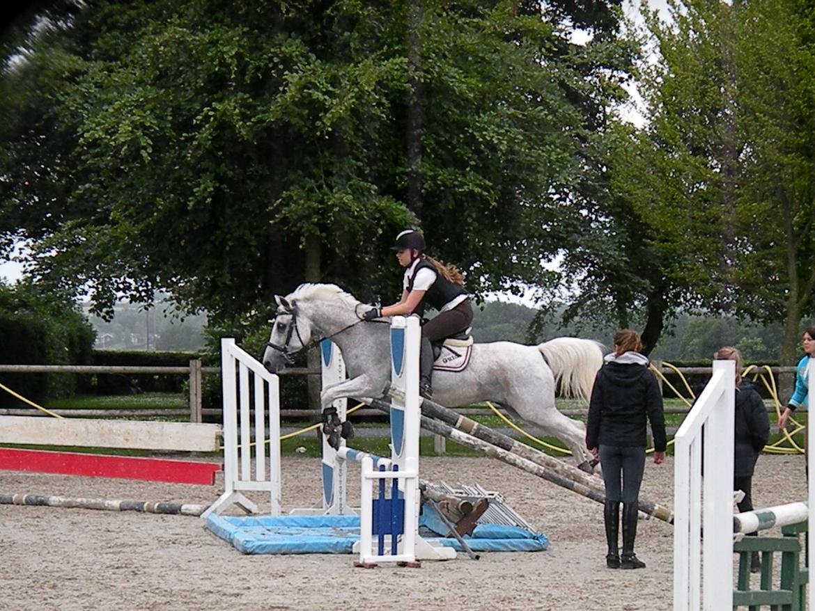 Hollandsk Sportspony Guido - Ridelejr ved Thomas Sandgaard 2012. billede 11