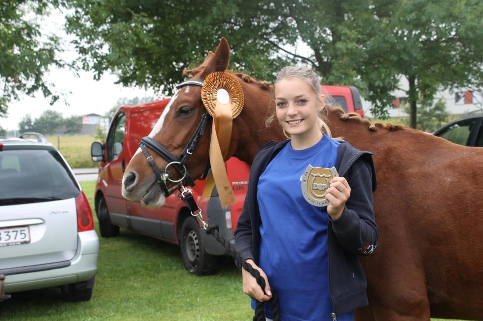 Tysk Sportspony AJ Melli's Janice billede 9