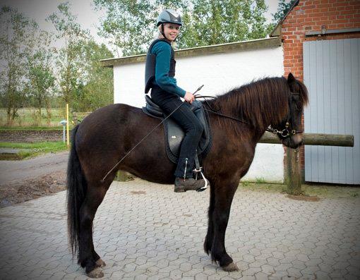 Islænder Gáska frá Skovfryd - På vej til ride time med Christina billede 15