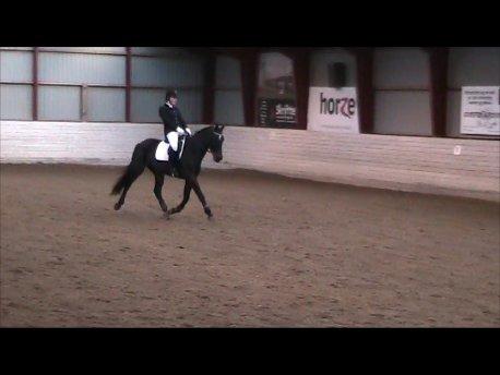 Dansk Varmblod He-Le´s Najda - Vores første LA1. :) Red til 61,5 %! :) billede 5