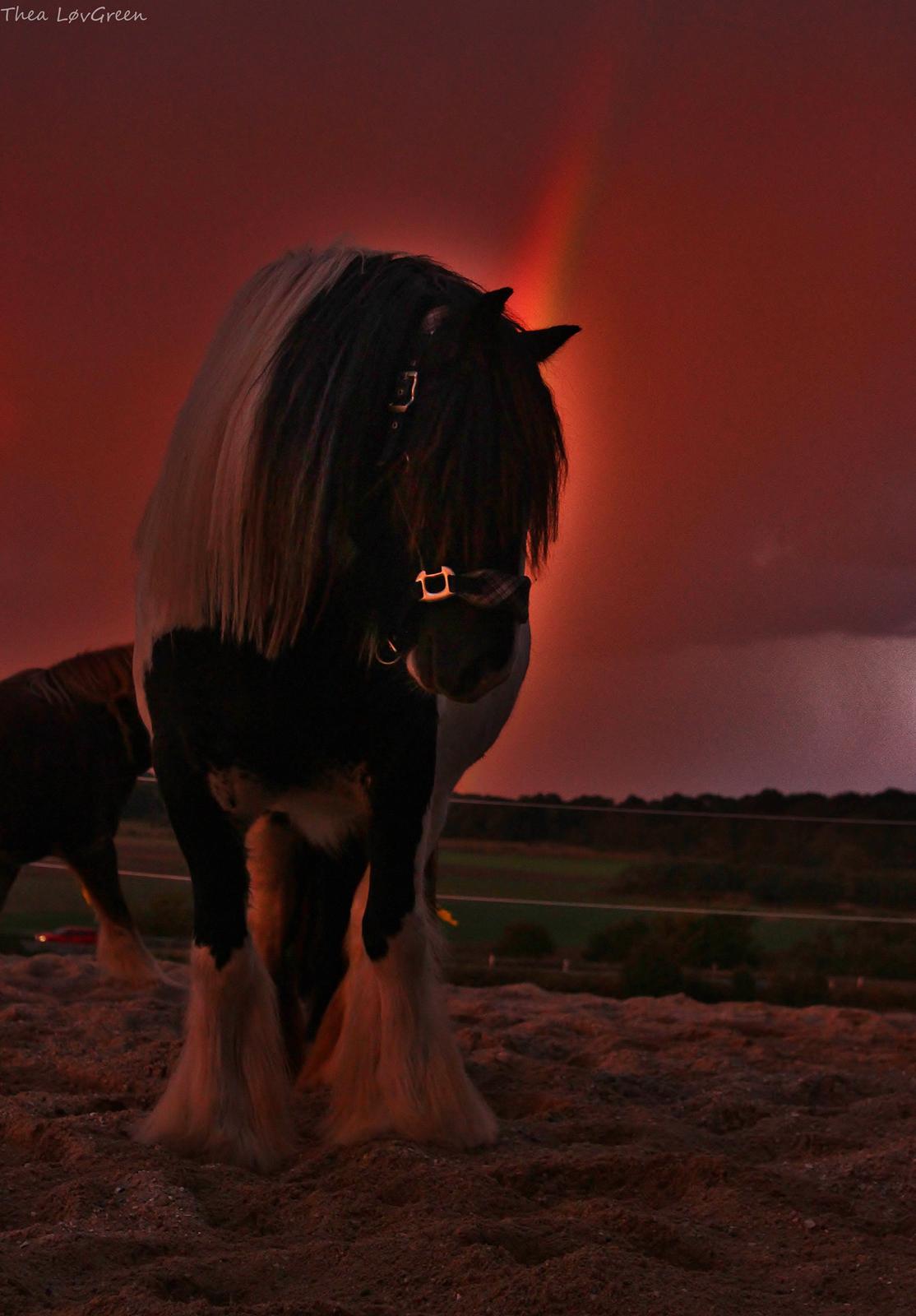 Tinker Lady Harmonie - Der hvor regnbuen ender - det er guld værd billede 12