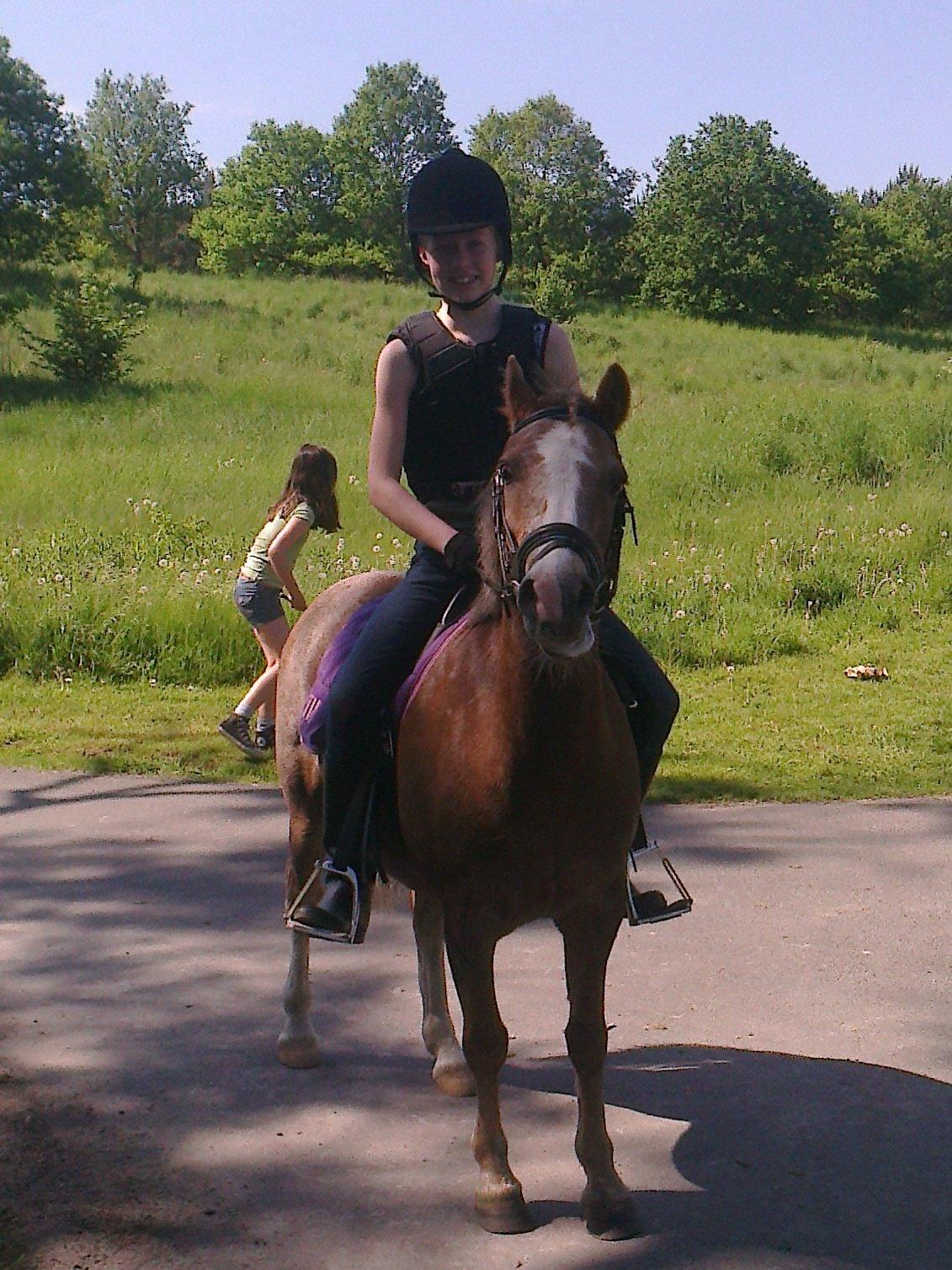 Dartmoor Skovbrynets Bastjan billede 5