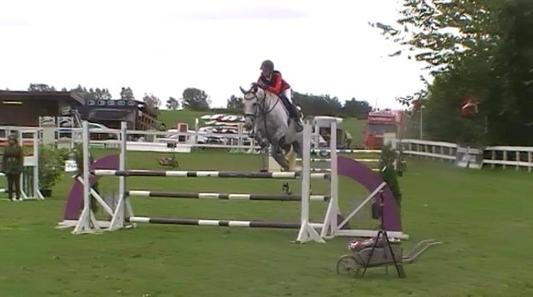 Trakehner Ferrari - Du så skøn <3 billede 18