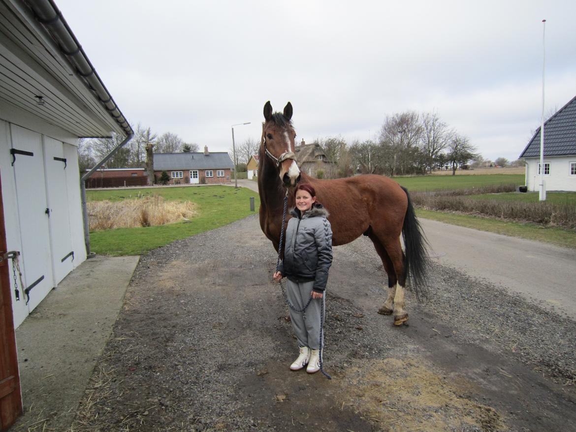 Holstener RockyTano billede 1