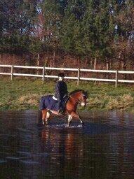 Anden særlig race Laban |*Mit ét og alt<3*| - Laban. Du den bedste! <3 <3 Jeg elsker dig. :-** billede 3