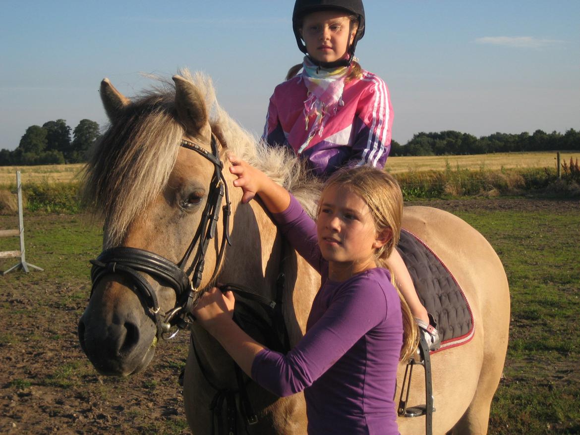 Fjordhest Vigdis R.I.P d. 18/1-14 - Vigdis, jeg og min kusine.
Du er så sød Viggo <3 billede 3