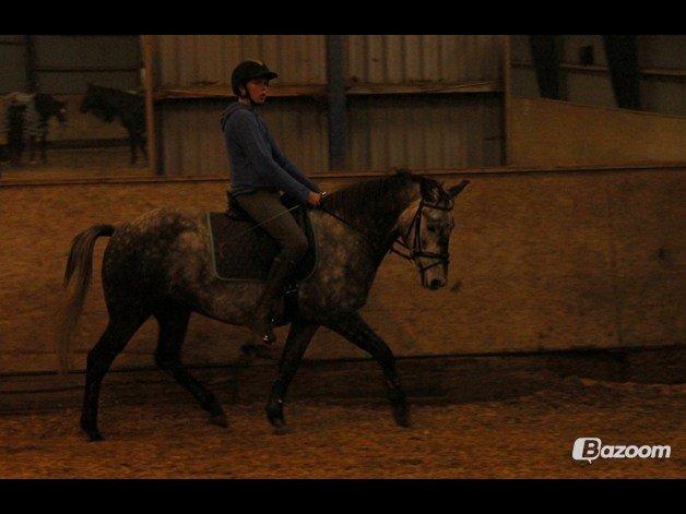 DSP Leonardo - Foto: Freja billede 8