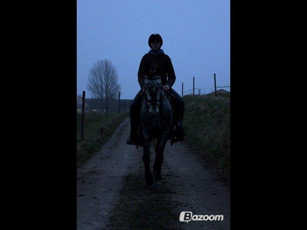 DSP Leonardo - Lille hygge start tur<3 Foto: Freja billede 9