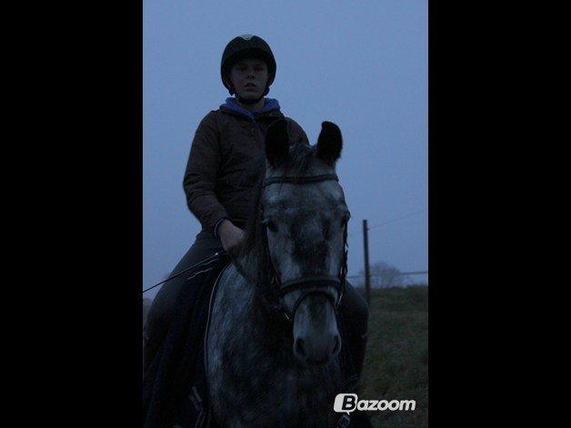 DSP Leonardo - Uha meget farlig ting der siger klik :O Foto: Freja  billede 10