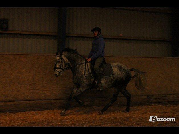 DSP Leonardo - Foto: Freja billede 13