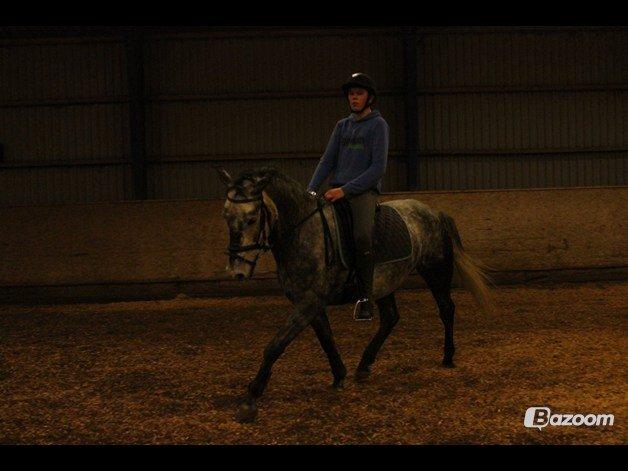 DSP Leonardo - Foto: Freja billede 14