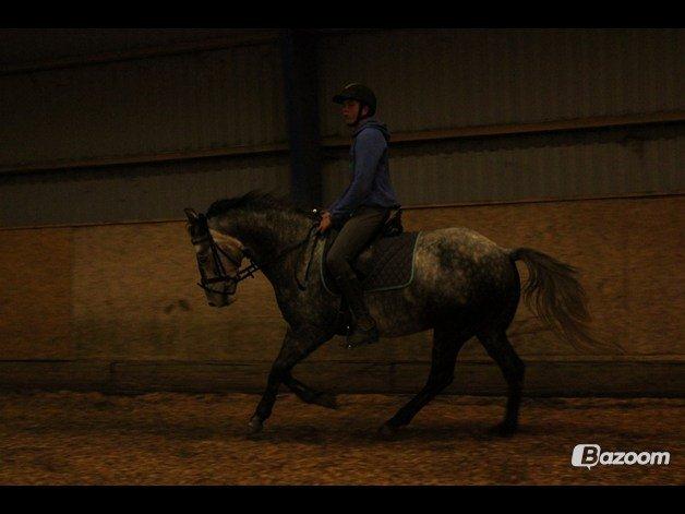 DSP Leonardo - Foto: Freja billede 16