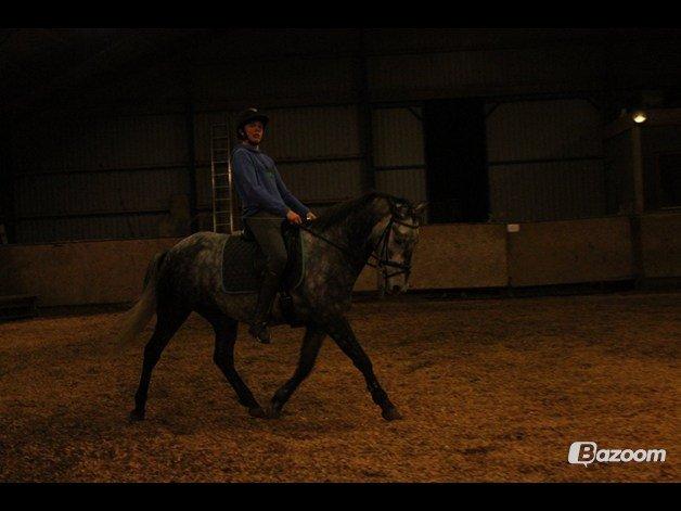 DSP Leonardo - Ride, ride og atter ride :) Foto: Freja billede 17