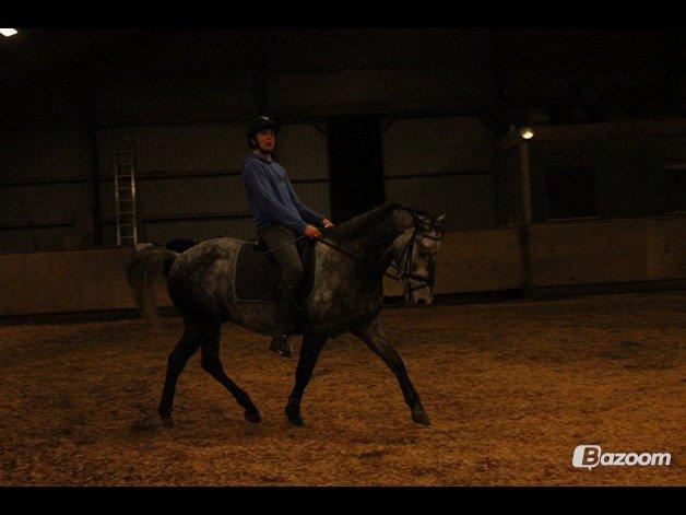 DSP Leonardo - Foto: Freja billede 18