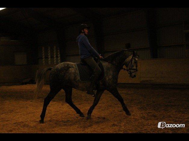 DSP Leonardo - Foto: Freja billede 19