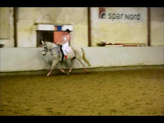 Anden særlig race COCO'S NEW IMAGE~Soulmate - Min mulle og mig, til kostume dressur ♥
Taget ud af film - Filmet af Emilia Katrine Holmgren Madsen billede 6