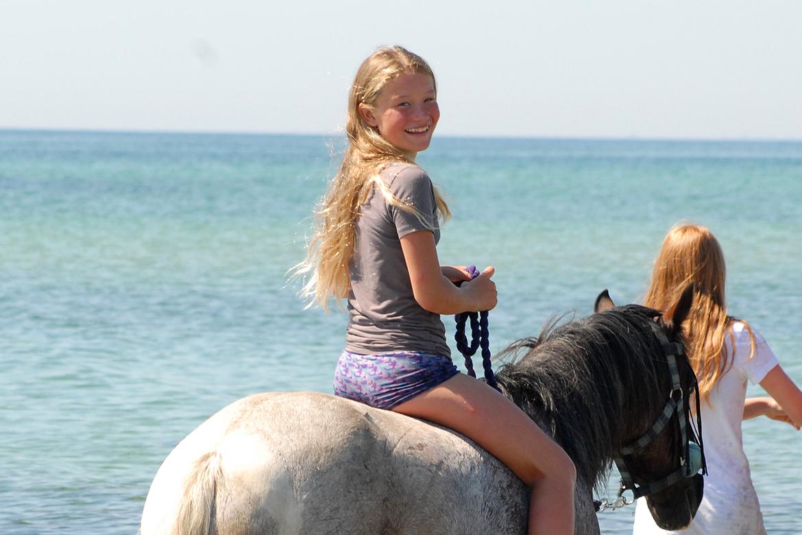 Pinto Pandora<3 - Sommerferie 2012 <3 billede 8