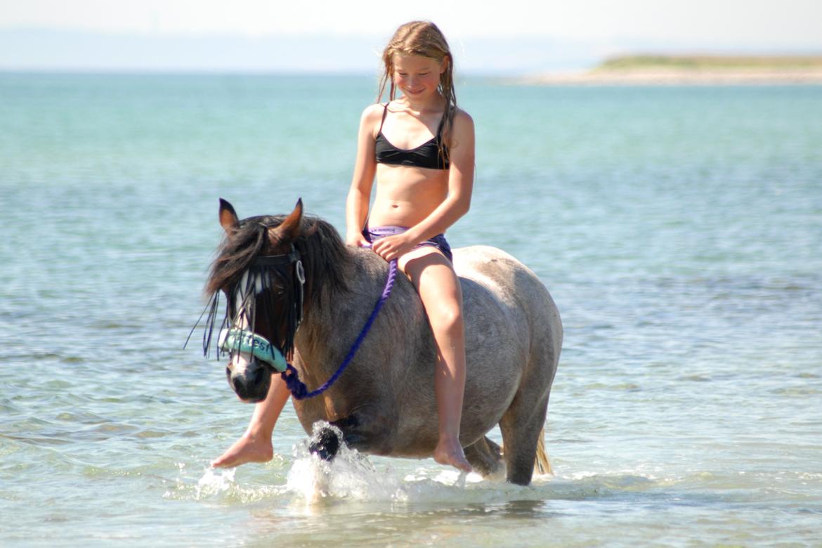 Pinto Pandora<3 - Vi er ude at bade.. <3 billede 9