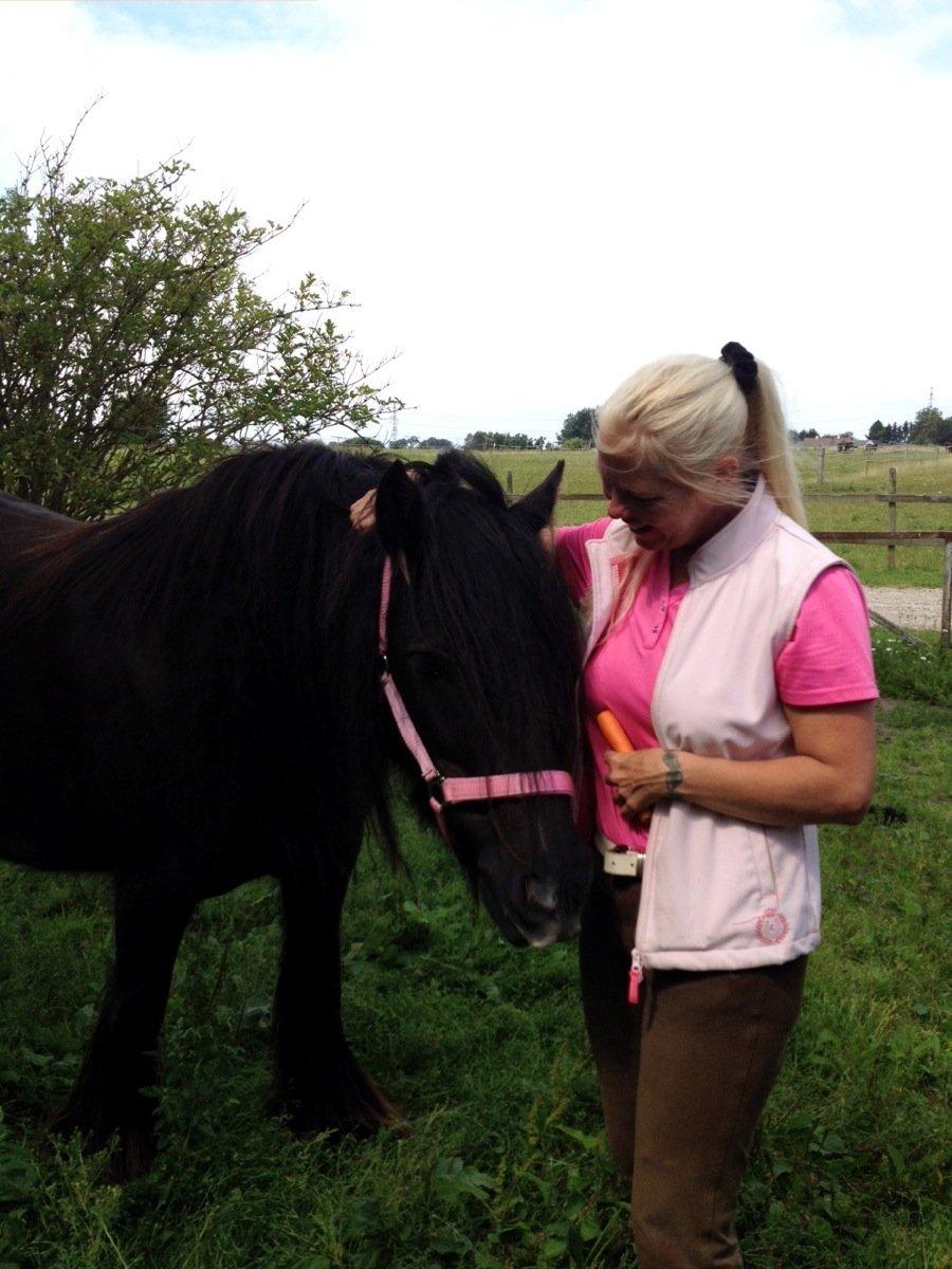 Irish Cob Pot of Gold - Pot og jeg billede 5
