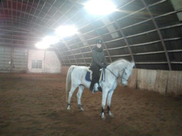 Shagya Araber (SH) Cheval - Så kom der endnu et billede <3 han var skøn idag :) han bøjede fint igennem <3 billede 8