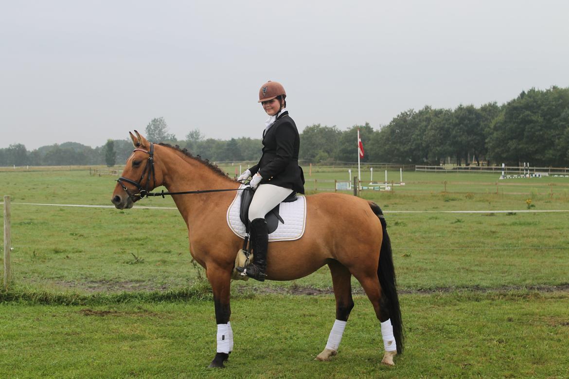 Anden særlig race Trunte ( Trunte pigen ) billede 3