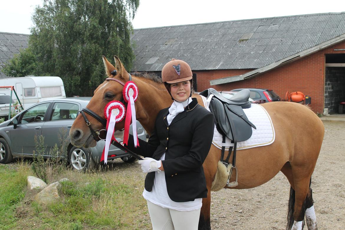 Anden særlig race Trunte ( Trunte pigen ) billede 5