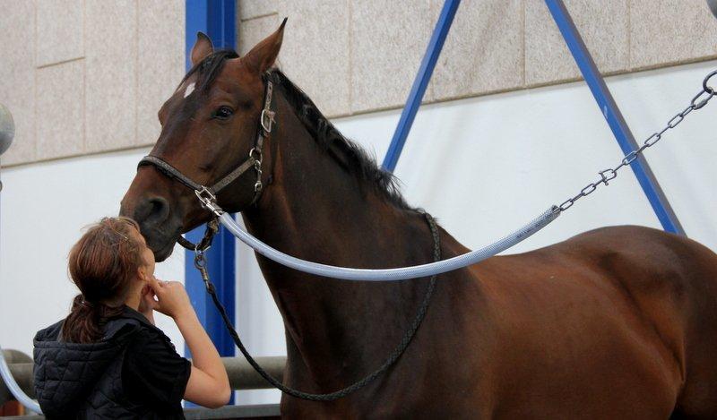 Holstener Monokrat Essenbæk - Monty - Hygge på vartepladsen. billede 4