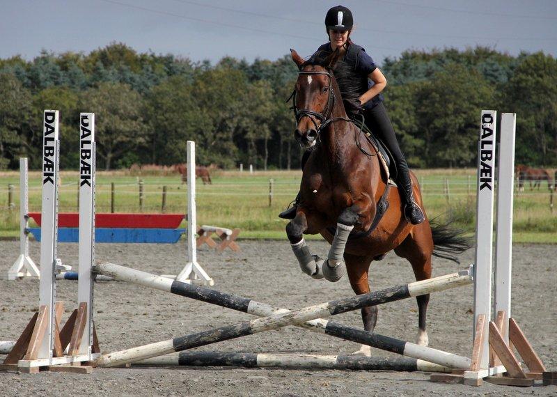 Holstener Monokrat Essenbæk - Monty - 2. Et af vores første, rigtige spring :) billede 2