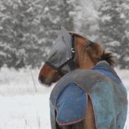 Anden særlig race lady<3