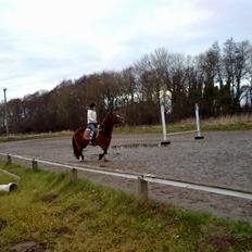 Anden særlig race Luna