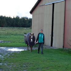 Anden særlig race cassiopeia